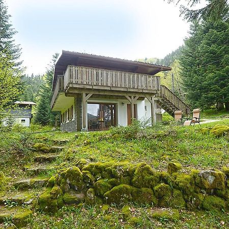 Le Schwarzwald - A Proximite Des Stations De Ski La Bresse Zewnętrze zdjęcie