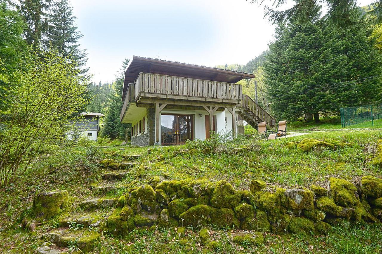 Le Schwarzwald - A Proximite Des Stations De Ski La Bresse Zewnętrze zdjęcie